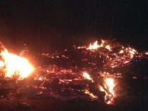 Mordanschlag in deutscher Kolonie