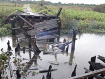 Brücke in Brand gesteckt