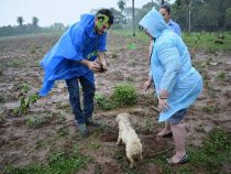 Einsatz bei strömenden Regen