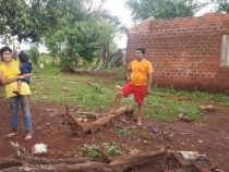 Im Hühnerstall Unterschlupf gefunden