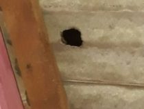 Sie wurden ein zweites Mal “bestraft“