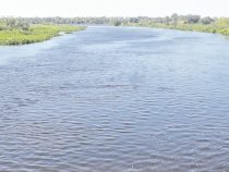 Nur zwei Löffel voll