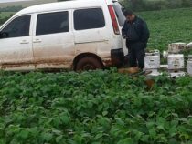 Seltsame Diebstähle von Agrochemikalien