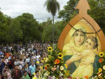 Die deutsche Bewegung in Paraguay