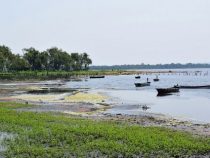 Es gibt keine katastrophalen Zustände im See
