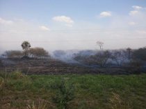 Der Tod lauert an der Transchaco Route