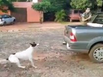 Tierschützer machen mobil