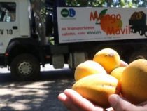 Das Mangomobil ist unterwegs