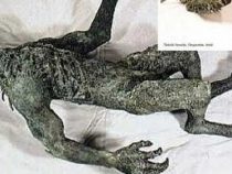 Der Mythos Chupacabras