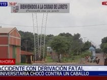 Ein Pferd hinterlässt zwei Waisenkinder