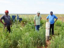 Mennoniten – starke Partner der Indigenen des Landes