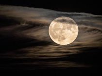 Heute Nacht erwartet sie der Supermond
