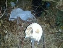 Menschliche Überreste geben Rätsel auf