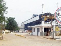 Private Alkoholfabrik produziert monatlich mehr als Petropar im Jahr