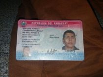 Dummheit schützt vor Strafe nicht