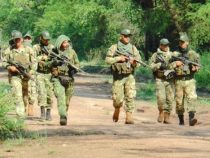 EPP: Offensive Taktiken kosteten Soldaten das Leben