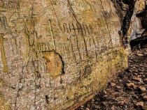 Itá Letra: Jahrtausende alte Inschriften durch Kriminelle zerstört