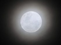 Erstmals seit 150 Jahren: Super-, Blau- und Blutmond