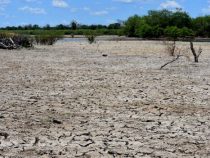 Zweierlei Wetter: Osten trocknet aus, Chaco und Norden erwarten überdurchschnittlich viel Regen