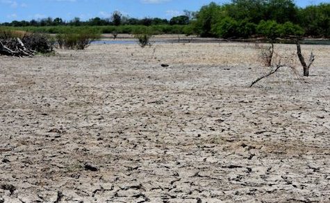 Zweierlei Wetter: Osten trocknet aus, Chaco und Norden erwarten überdurchschnittlich viel Regen