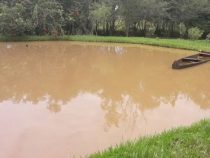Wasserleiche im Fischteich an Händen und Füßen gefesselt entdeckt