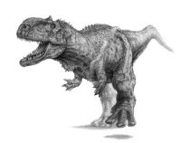 Auf den Fersen der Dinosaurier