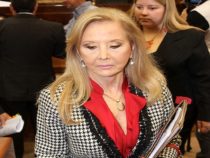 EPP bombardieren: “Wie kann man sie fangen, ohne Unschuldige zu töten?“