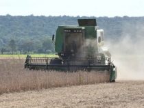 Paraguay atmet auf: Verlängerung der EU-Frist entschärft Druck auf die nächste Agrarkampagne