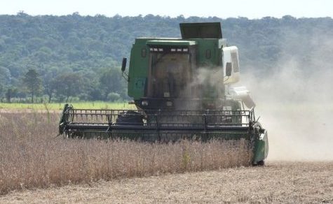 Paraguay atmet auf: Verlängerung der EU-Frist entschärft Druck auf die nächste Agrarkampagne