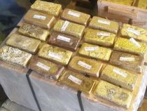 Wo sind die 480 kg Gold abgeblieben?