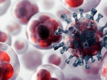 Ansteigende Fälle von Blutkrebs vermutlich durch Agrochemikalien