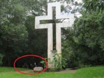 Lugo, der einzige “lebende Held“ mit einem Denkmal in Cerro Corá