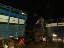 Frontalzusammenstoß auf der Transchaco Route