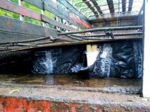 Angeblich Waffenlieferanten der EPP im Chaco verhaftet