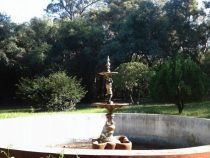 Mehr Angestellte im Zoo als in ganz Asunción