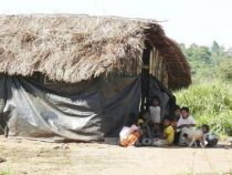 Halt sie arm und dumm