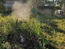 Dengue: Asunción ruft den Umweltnotfall für 90 Tage aus