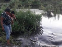 Indigene im Stich gelassen