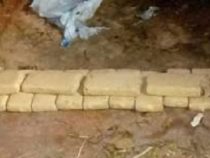 Man sollte keine Drogen in der Einöde verstecken