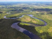 Das paraguayische Pantanal