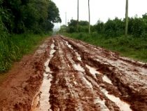 Nichts geht mehr im Bezirk der Goldgräber