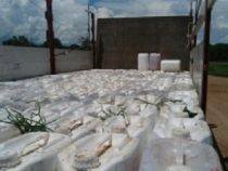 Pflanzenschutzmittel im Chaco sichergestellt