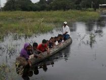 Odyssee im Chaco: 800 mm Regen in zwei Wochen