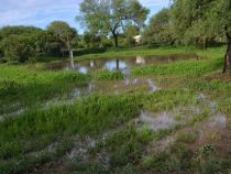 Hochwasser in der Kolonie Fernheim