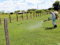 Verbotenes Insektizid in mehreren Ländern kommt in Paraguay zum Einsatz