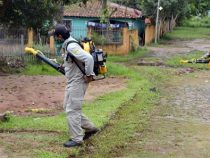 Pestizid-Sprühflugzeuge im Einsatz gegen die Mückenplage