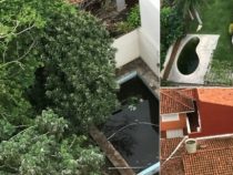 Aus der Luft “Villen“ für Moskitos entdeckt