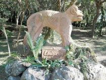 Der mystische Weg in Trinidad