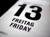 Freitag der 13.: Mann stirbt an Bienenstichen