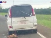 Keine Gnade: Hund hinter einem Auto hergezogen
